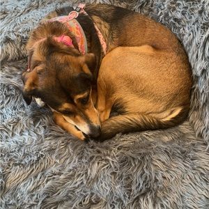 Meet your Posher, Navleen